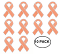 10 Pack Peach Ribbon Awareness Pins
