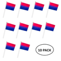 10 Pack Small Bisexual Flags on a Stick