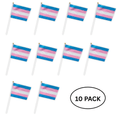10 Pack Small Transgender Flags on a Stick