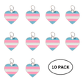 10 Pack Transgender Heart Pride Charms