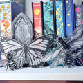3D Printed Insect Suncatcher - 4 Versions