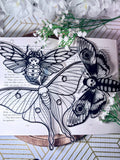 3D Printed Moth Suncatcher - 3 Versions
