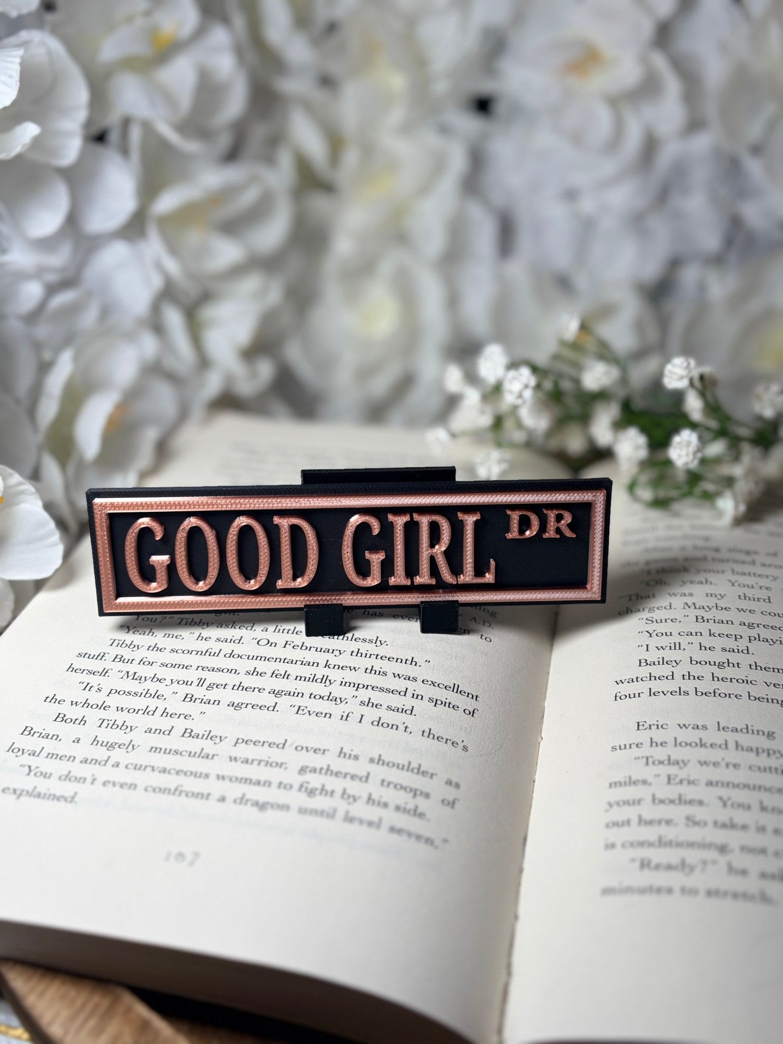 3d Printed Shelf Sign - Good Girl DR