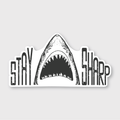 Stay Sharp Shark Sticker