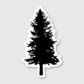 Black Pine Tree Sticker