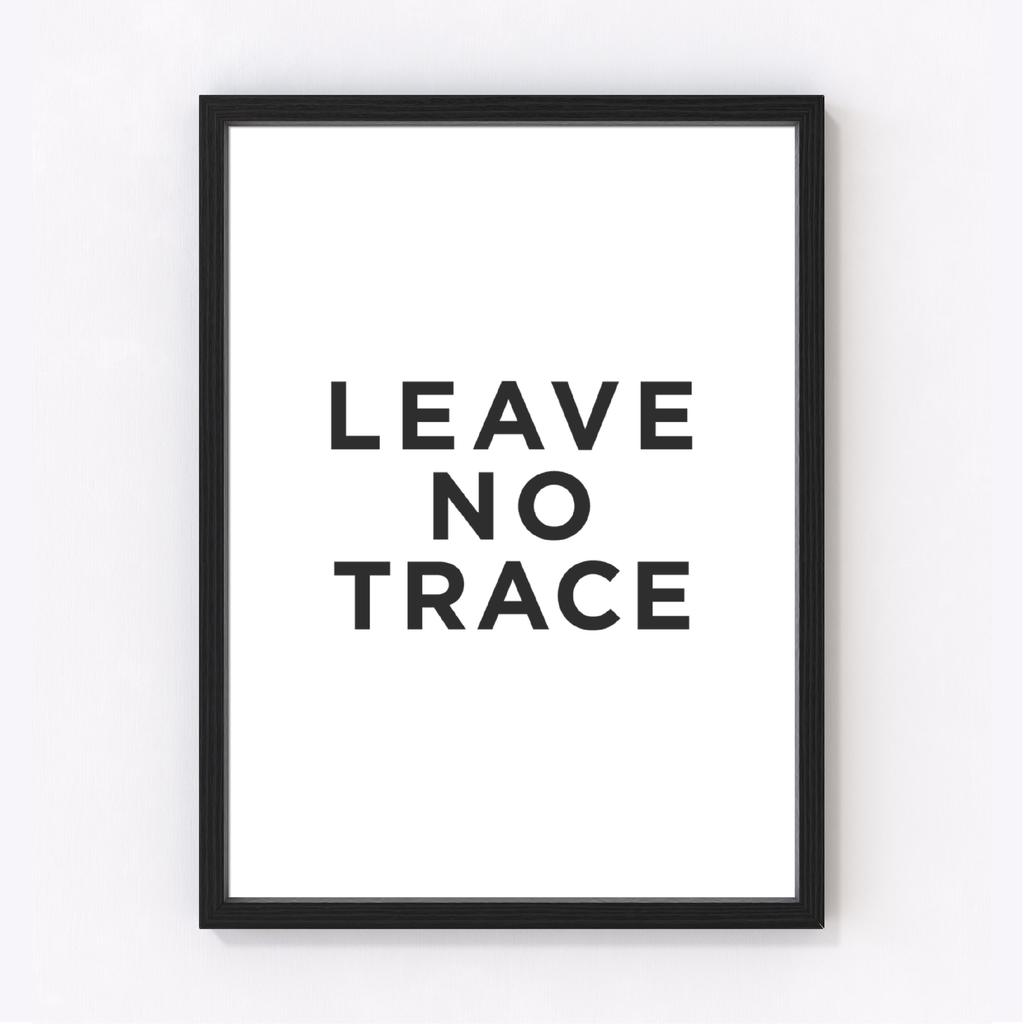 Leave No Trace Art Print