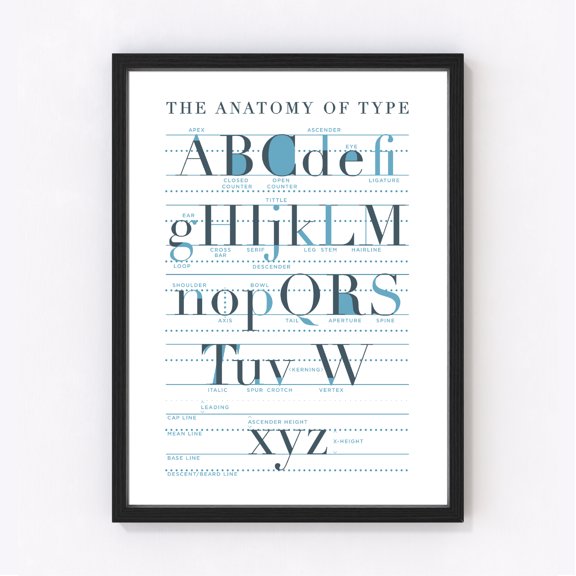 Anatomy Of Type Art Print