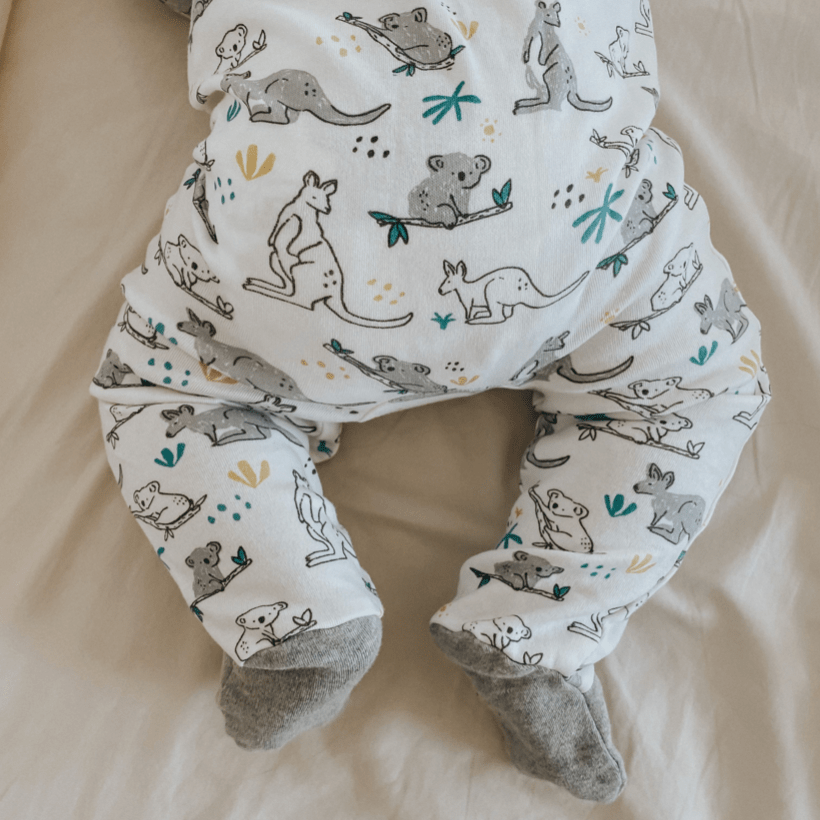 footie | koala