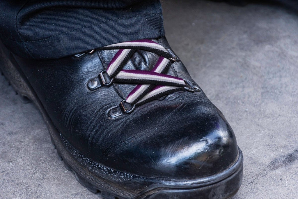 10 Pairs Asexual Flag Shoe Laces