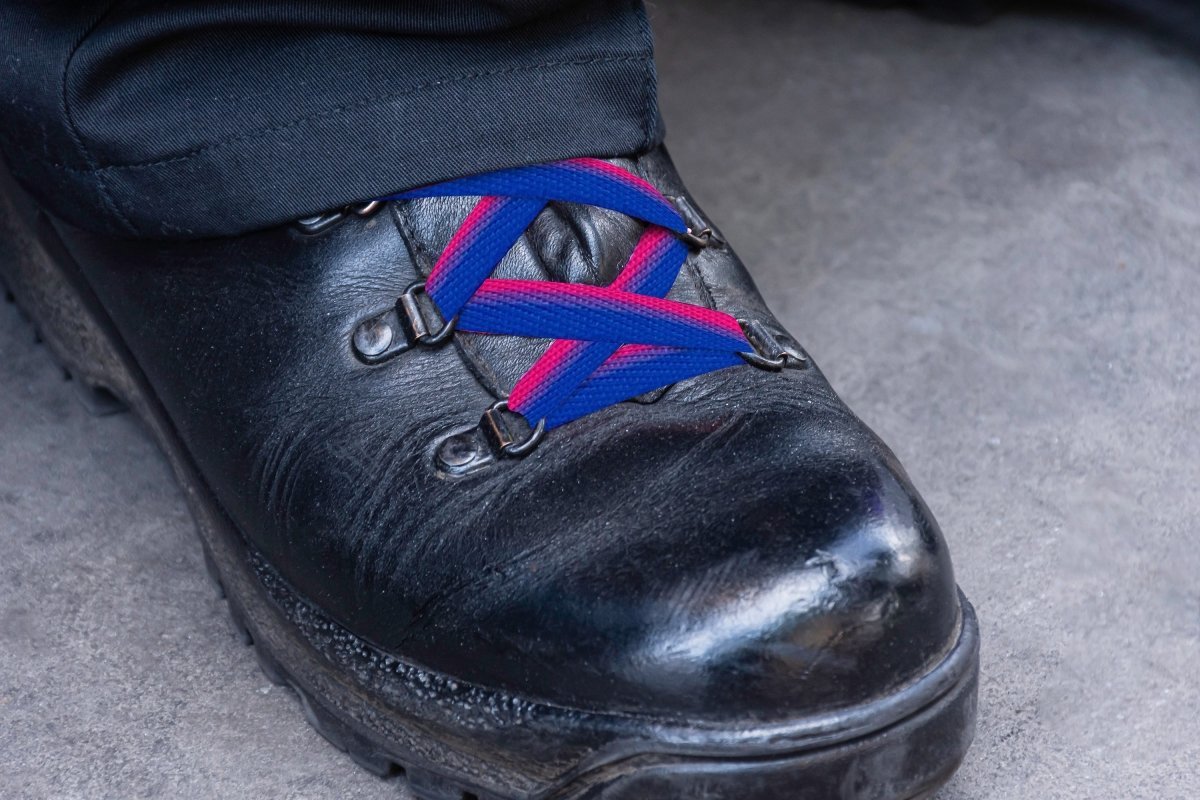Bisexual Flag Shoe Laces (1 Pair)