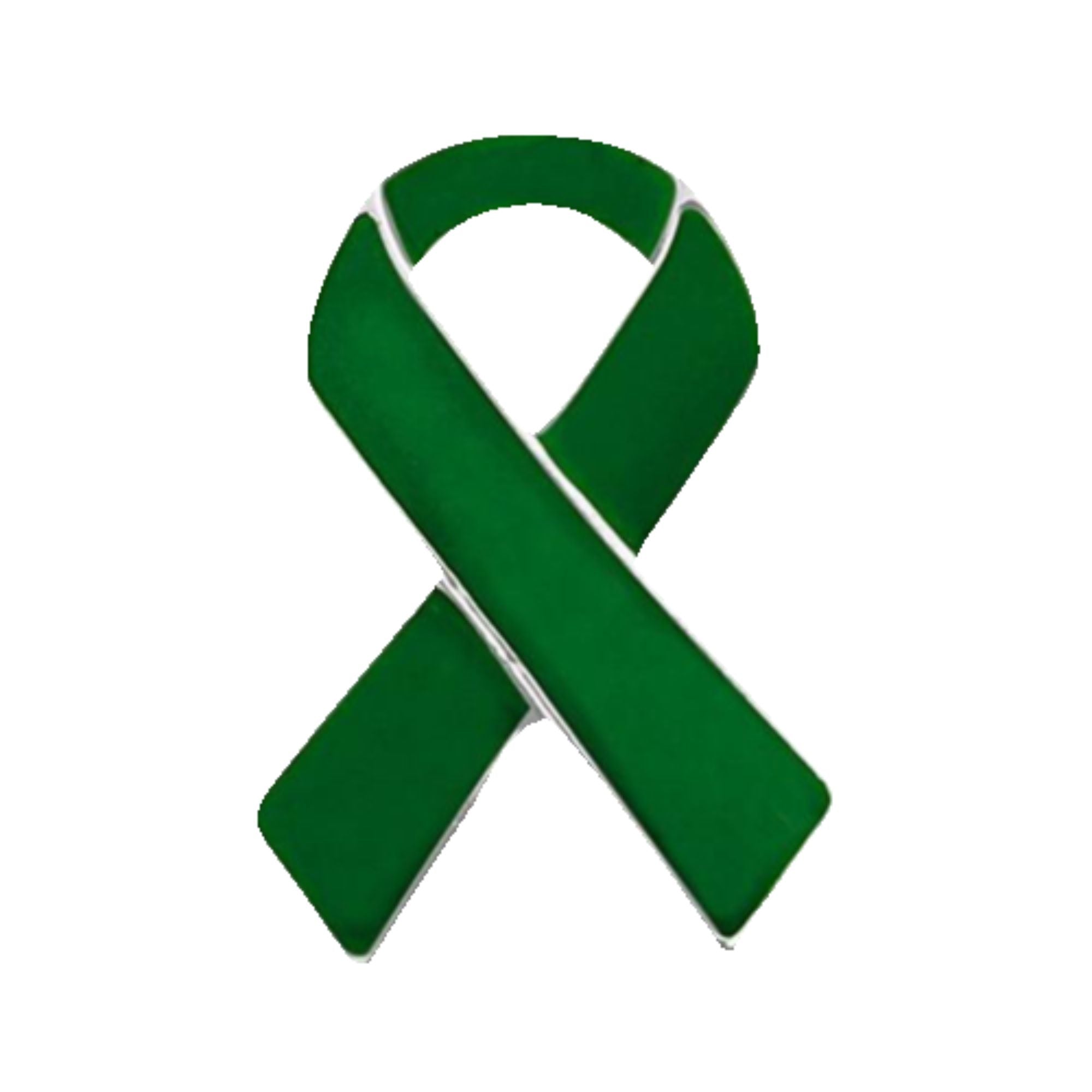 10 Pack Green Ribbon Awareness Pins