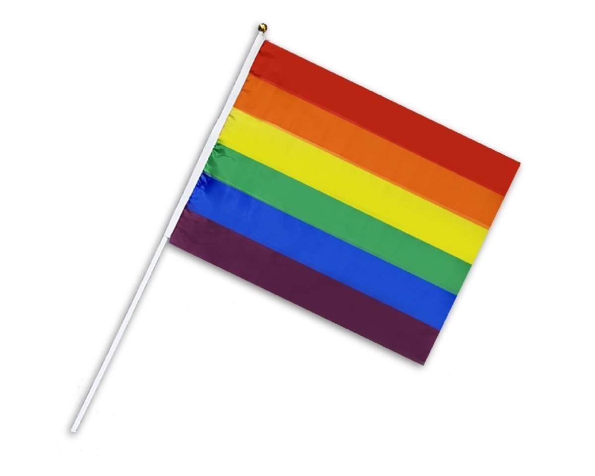 10 Pack Large Rainbow Flags on a Stick