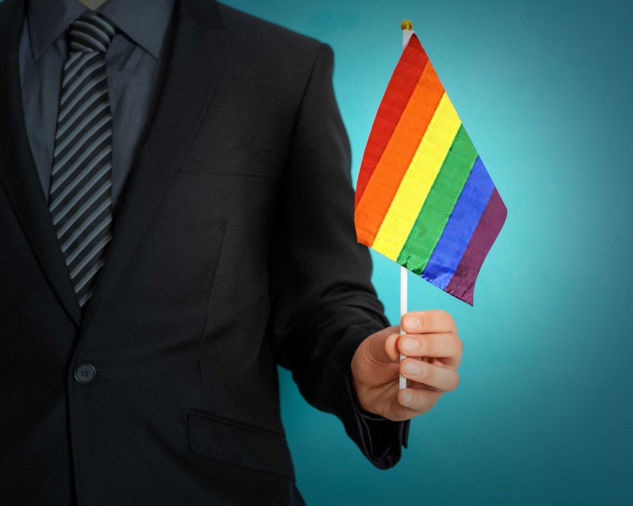 10 Pack Large Rainbow Flags on a Stick