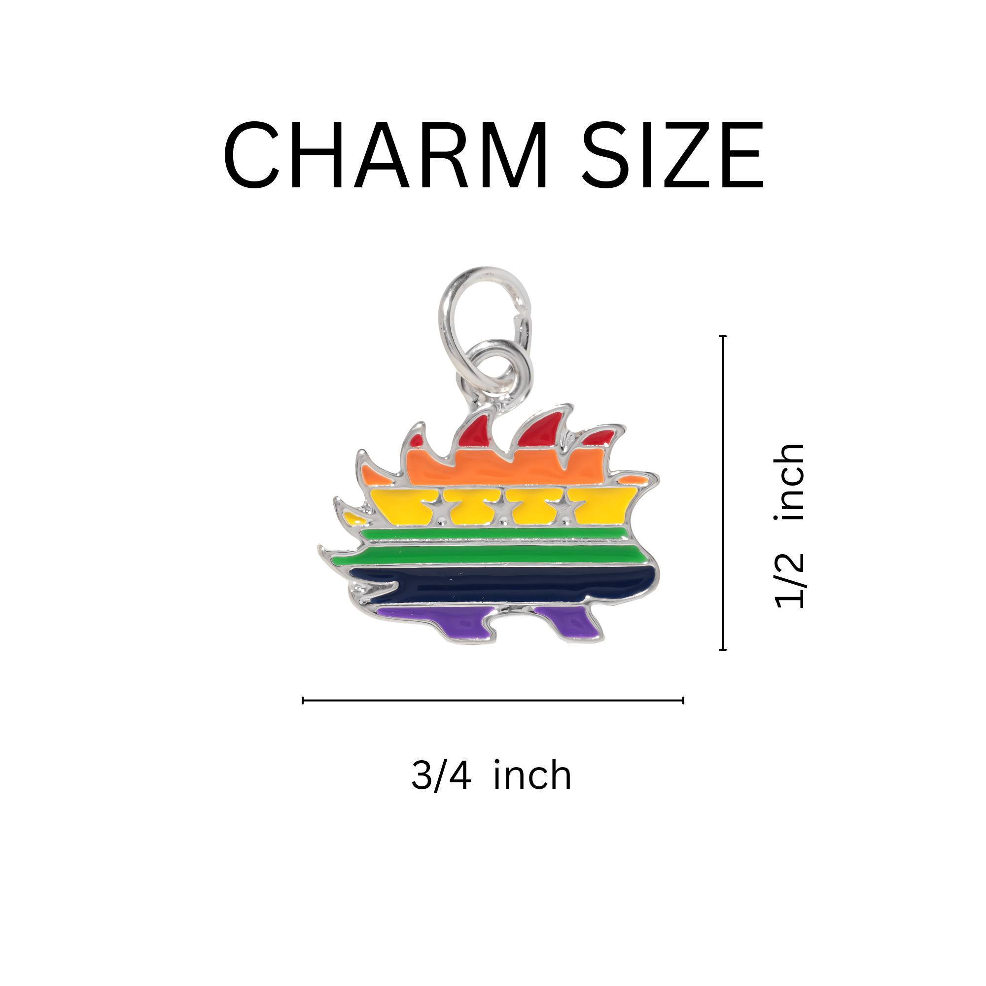 Libertarian Rainbow Porcupine Charms