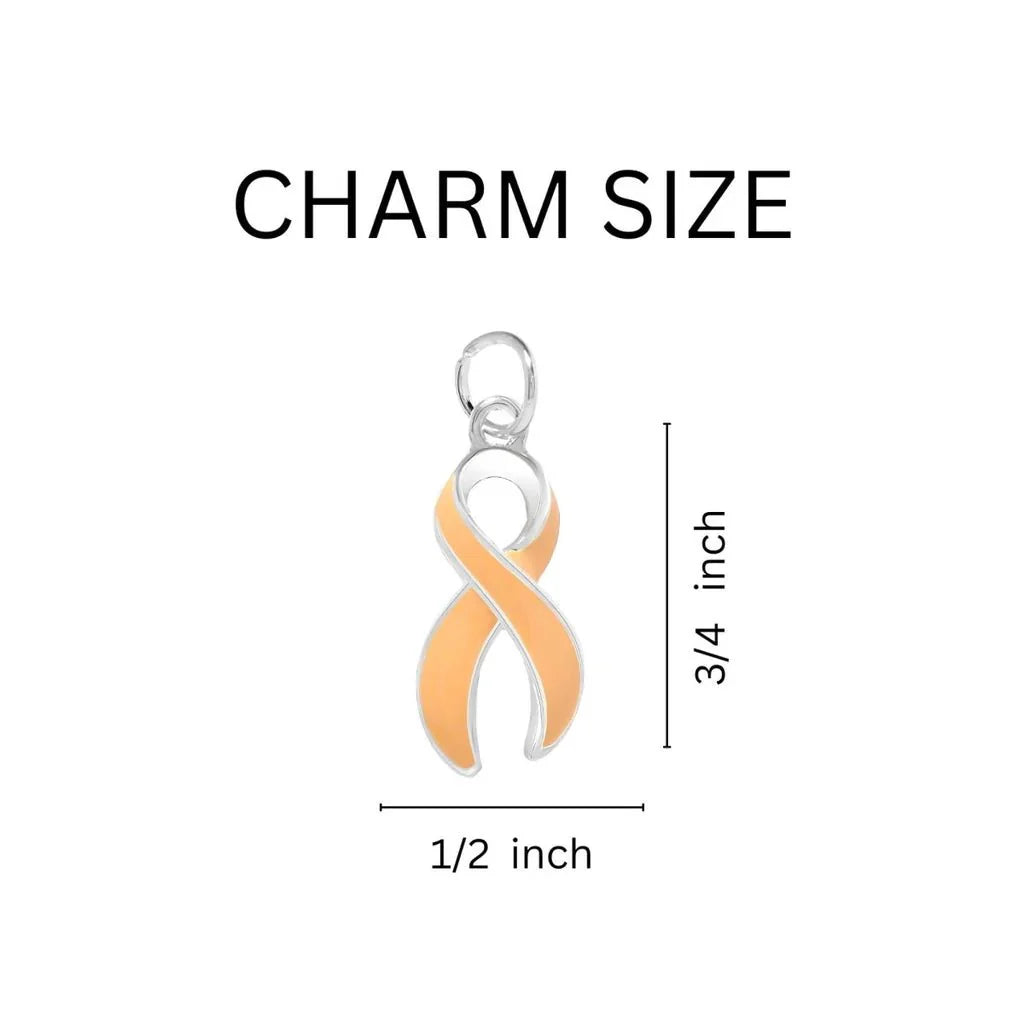 Peach Ribbon Horseshoe Key Chains