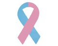 Pink & Blue Ribbon Magnets