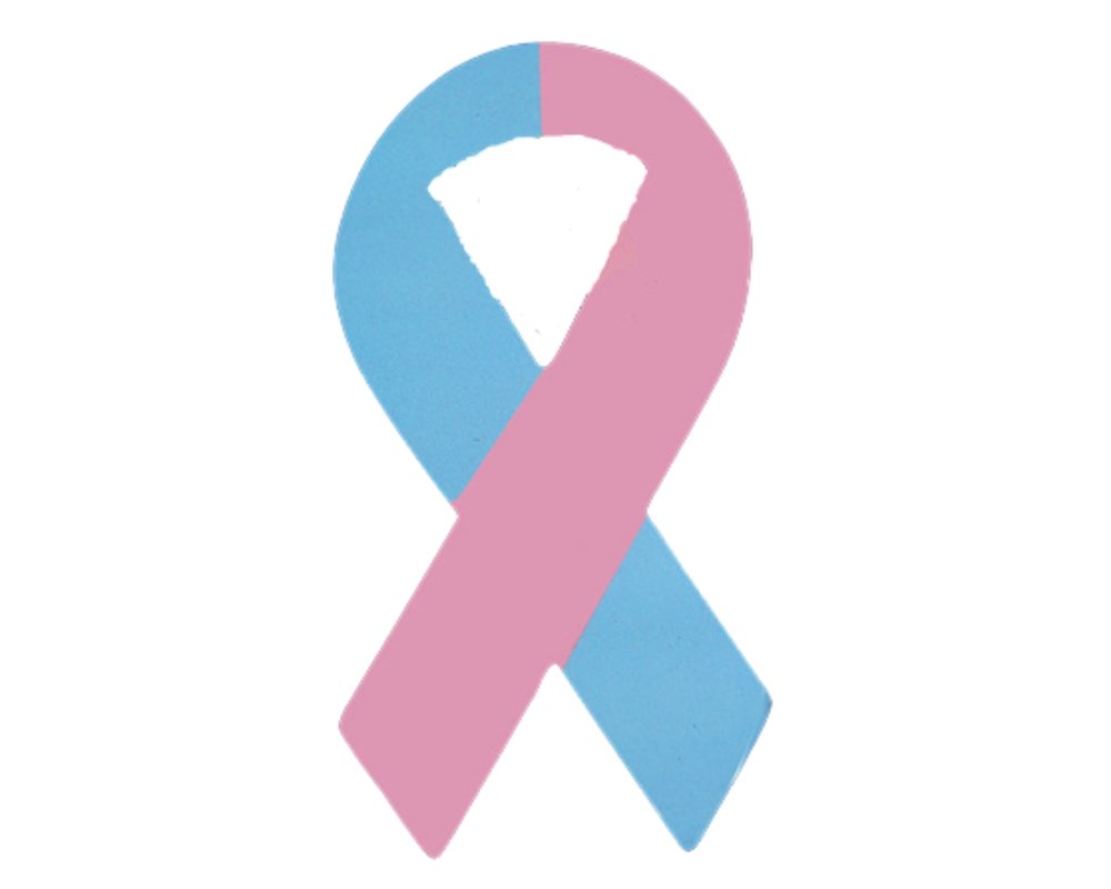 Pink & Blue Ribbon Magnets