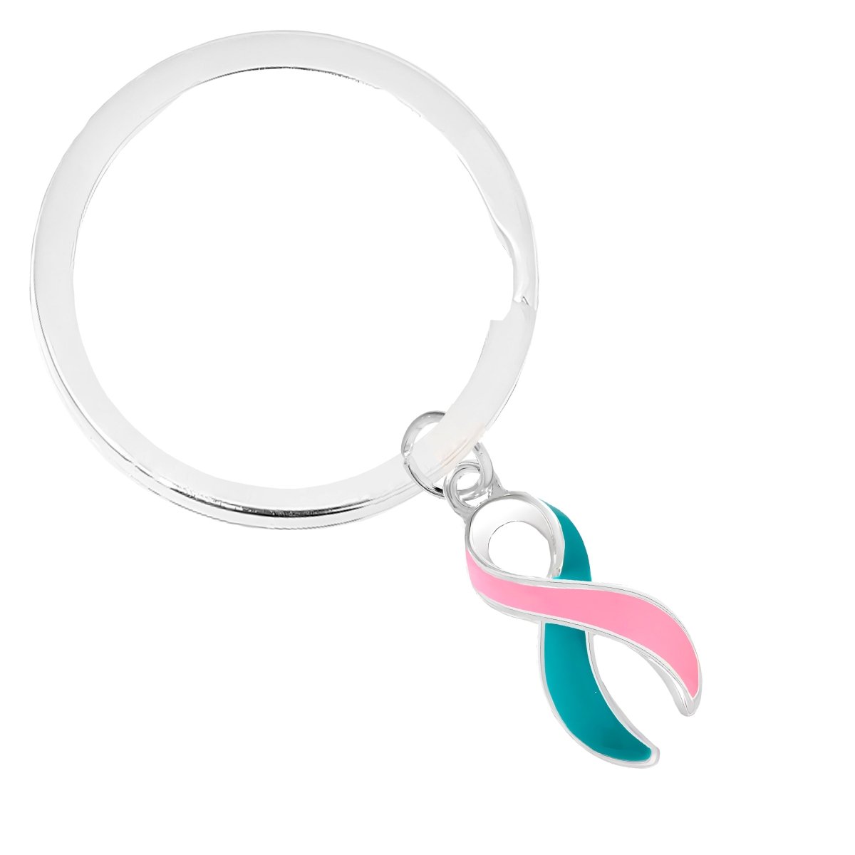 Pink & Teal Ribbon Horseshoe Key Chains
