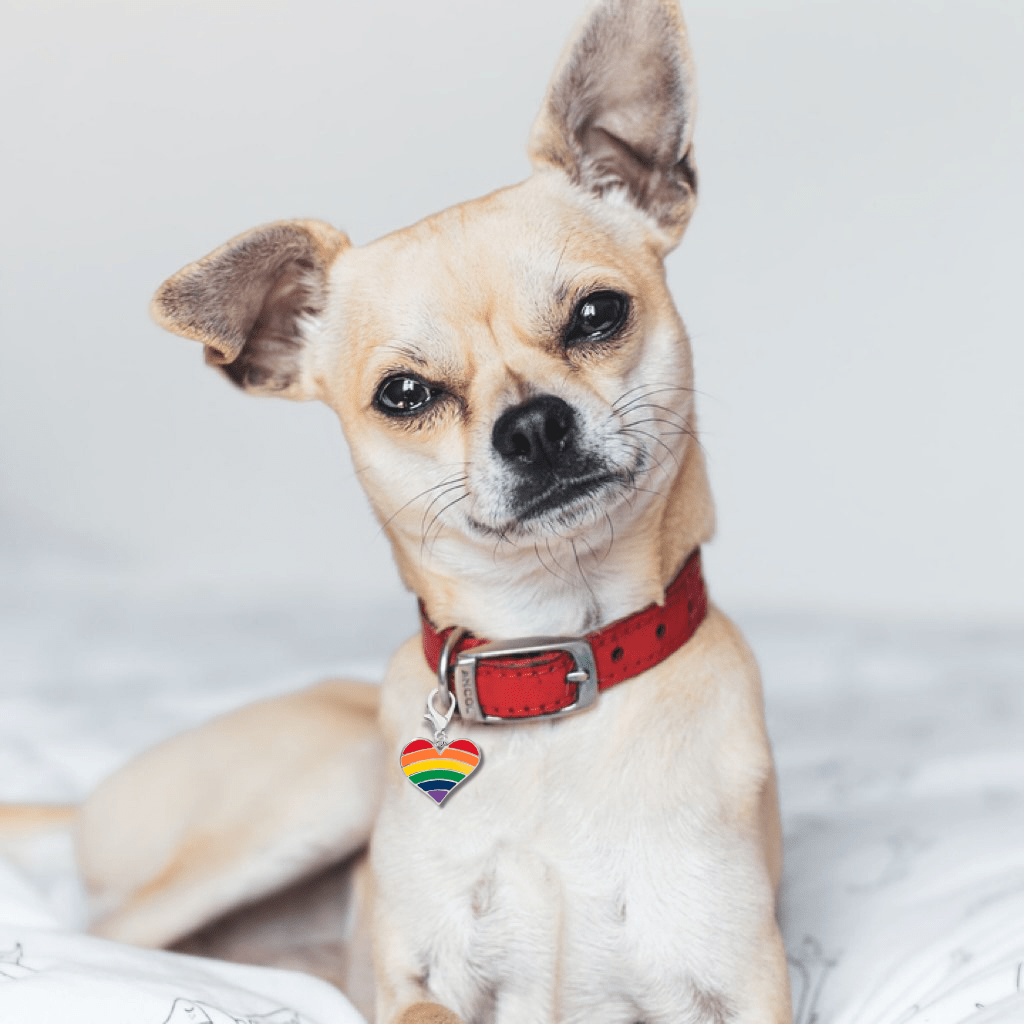 Rainbow Heart Flag Hanging Charms
