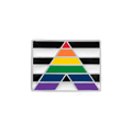 Rectangle Straight Ally Flag Pins