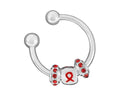 Red Ribbon Key Chains