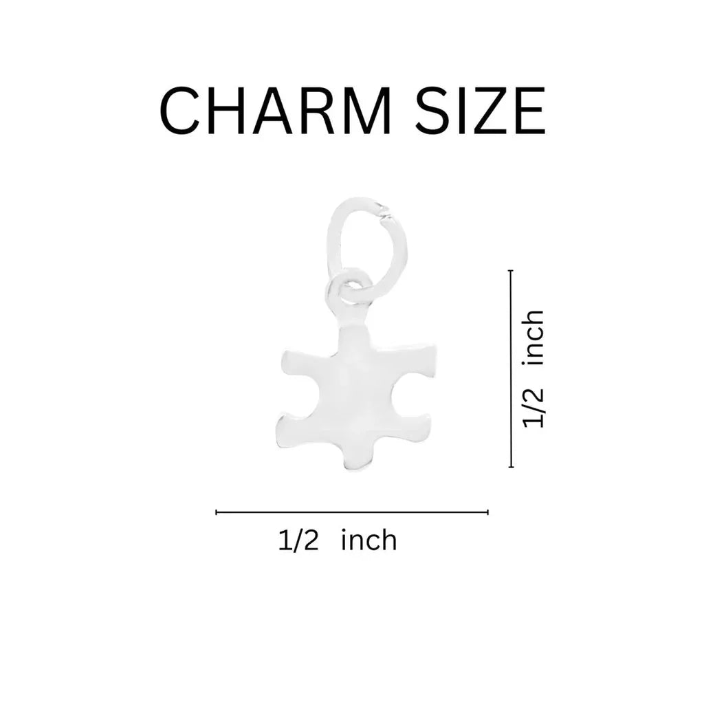 Silver Puzzle Piece Autism Awareness Split Style Key Chains