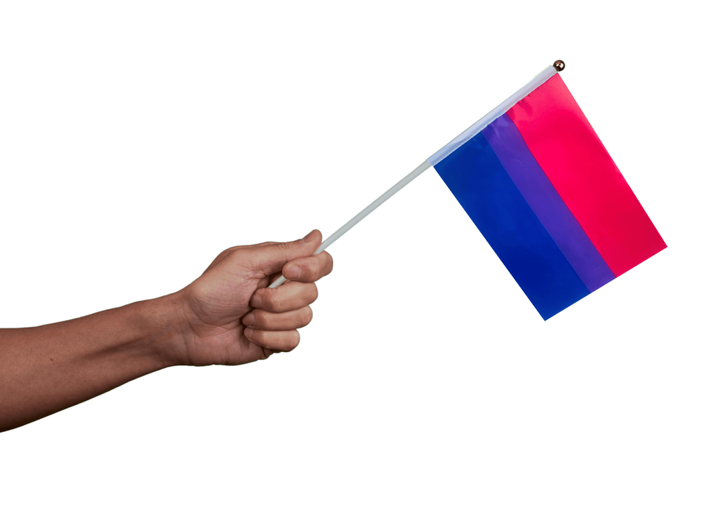 Small Bisexual Flags on a Stick