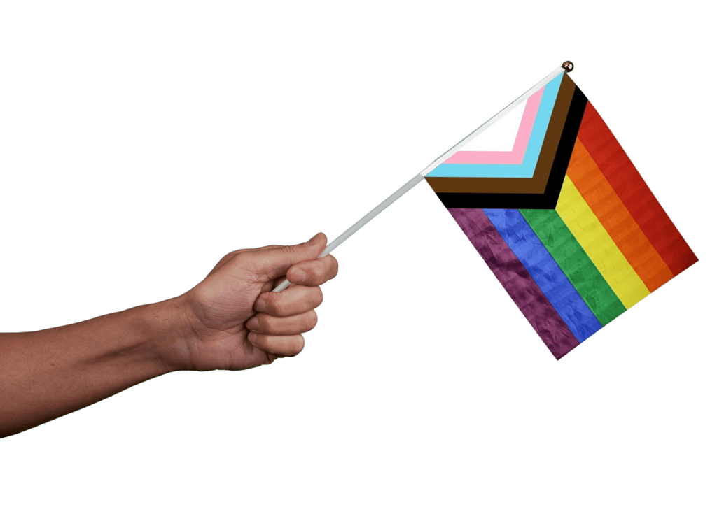 10 Pack Small Daniel Quasar Flags on a Stick