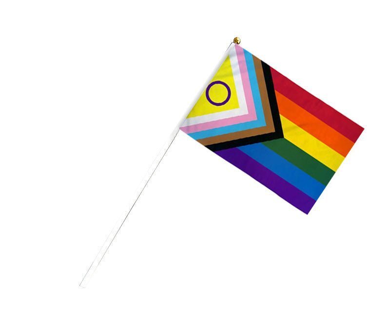 10 Pack Small Daniel Quasar Intersex-Inclusive Flags on a Stick