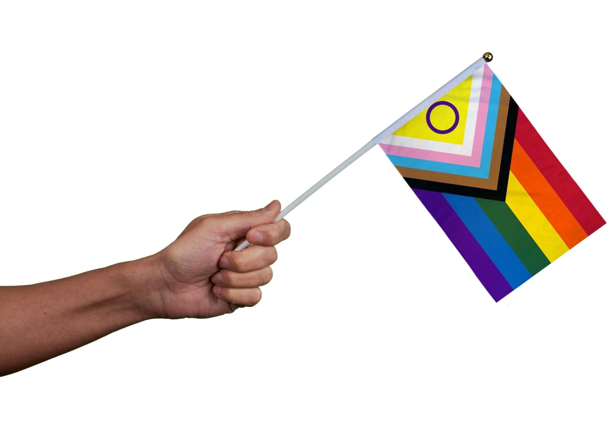 10 Pack Small Daniel Quasar Intersex-Inclusive Flags on a Stick