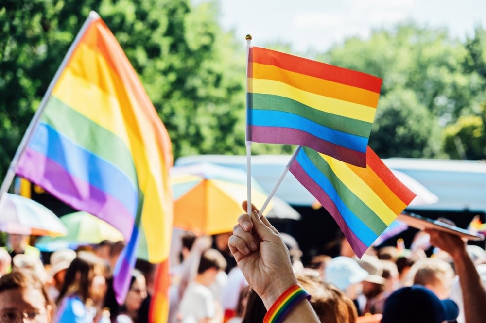 10 Pack Small Rainbow Flags on a Stick