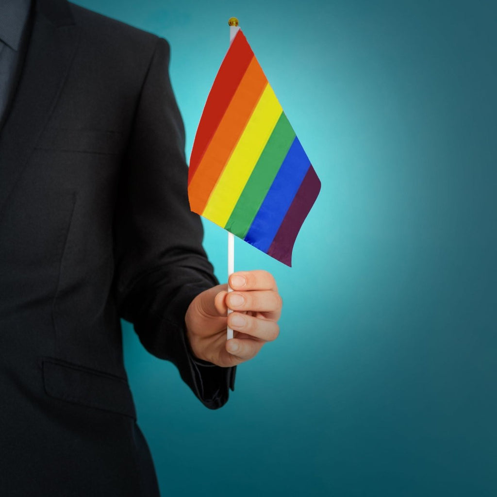 10 Pack Small Rainbow Flags on a Stick