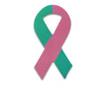 Small Size Pink & Teal Ribbon Magnets