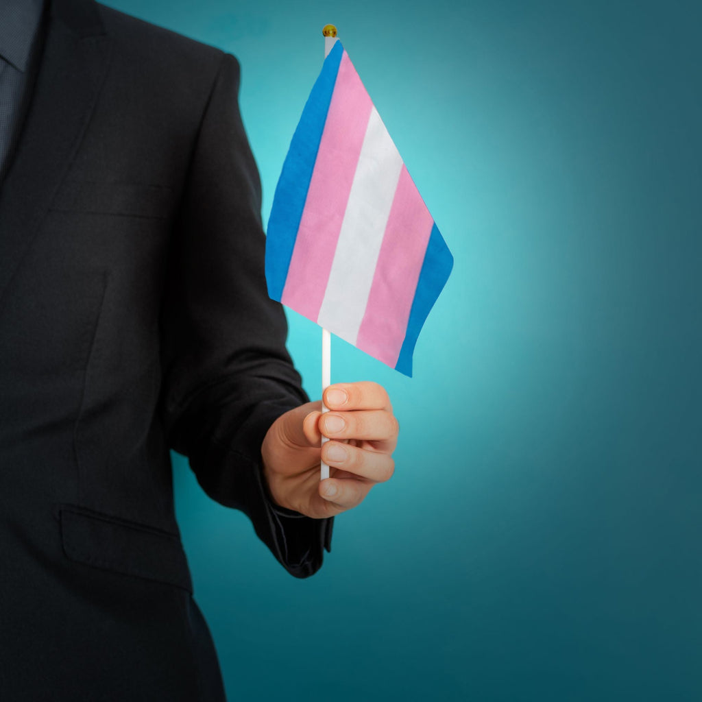 10 Pack Small Transgender Flags on a Stick