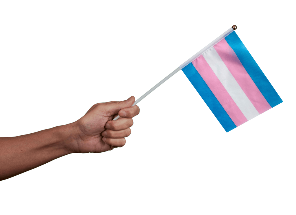 10 Pack Small Transgender Flags on a Stick