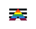 Straight Ally Rectangle Flag Silicone Pins