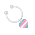 Transgender Flag Heart Horseshoe Key Chains